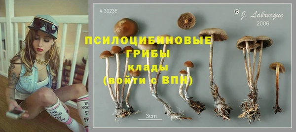 дурь Сафоново
