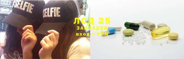 винт Сатка